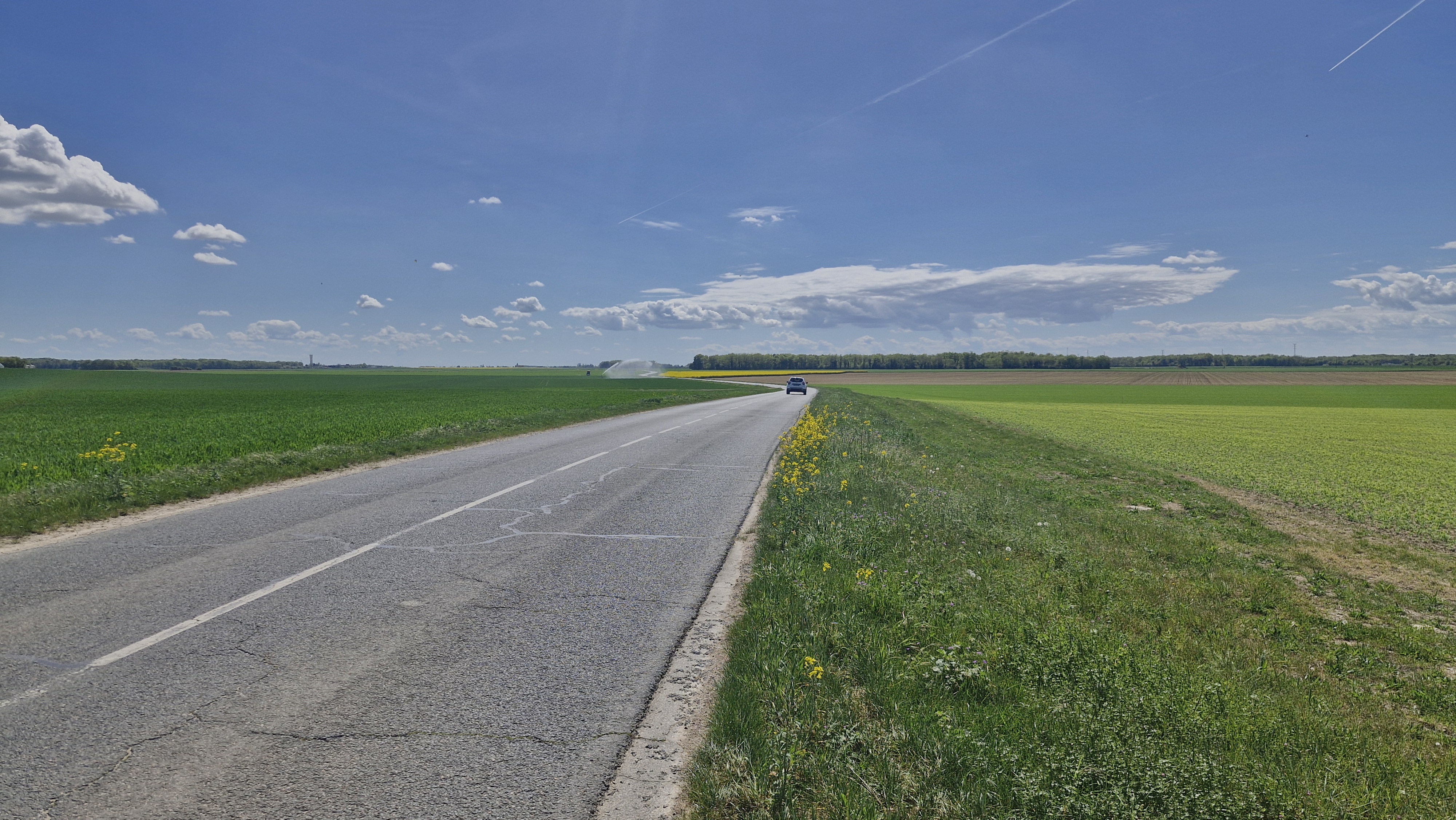 Miles of Green and Blue