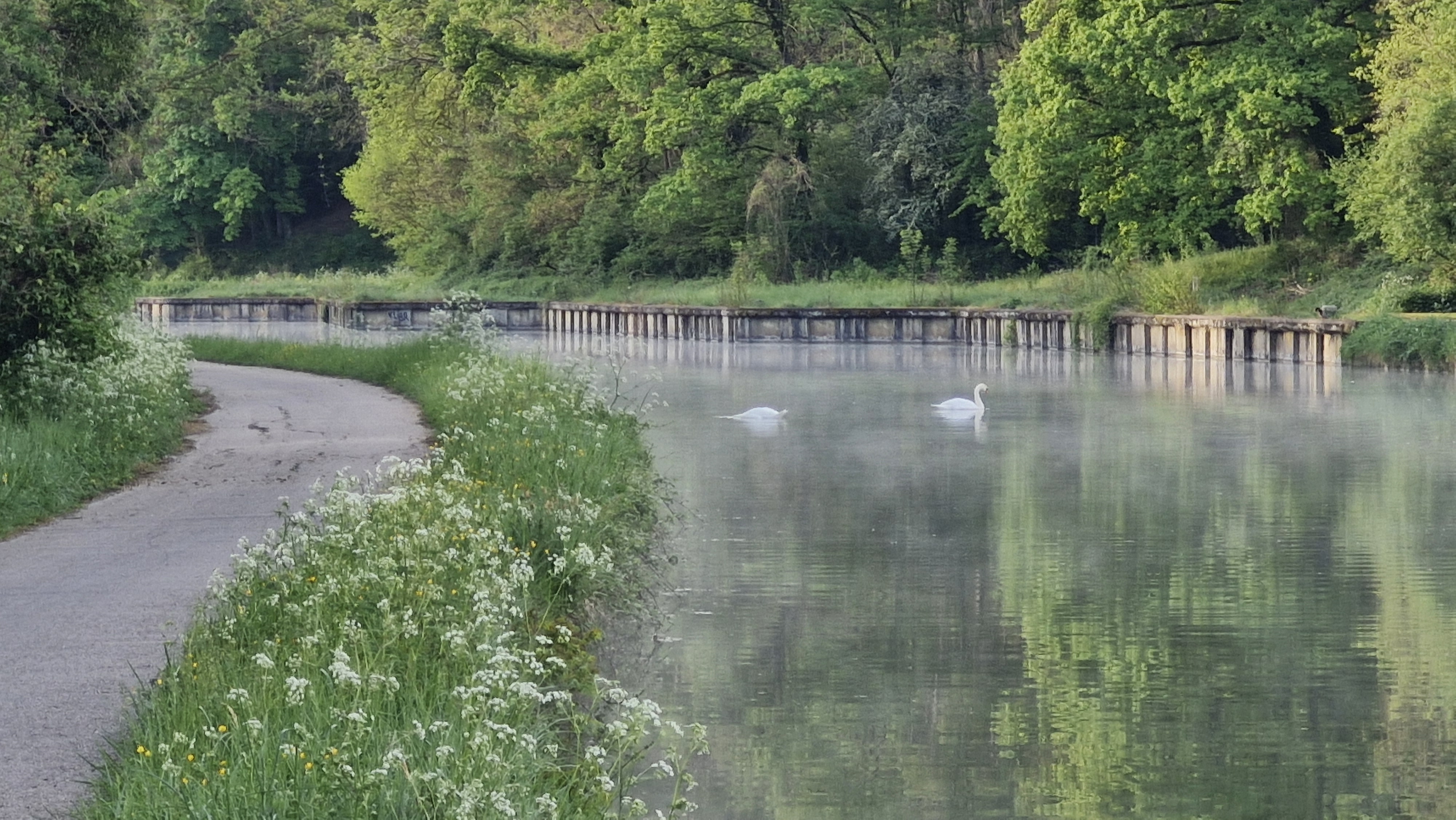 Morning Glide