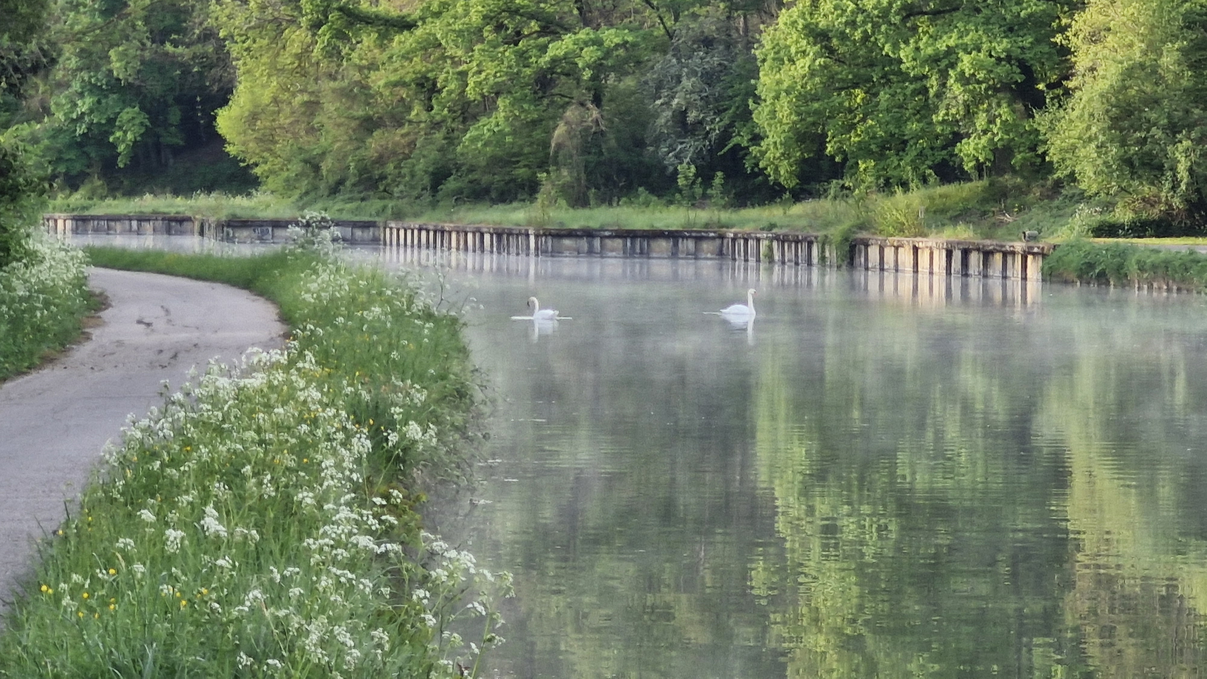 Canal Morning Grace