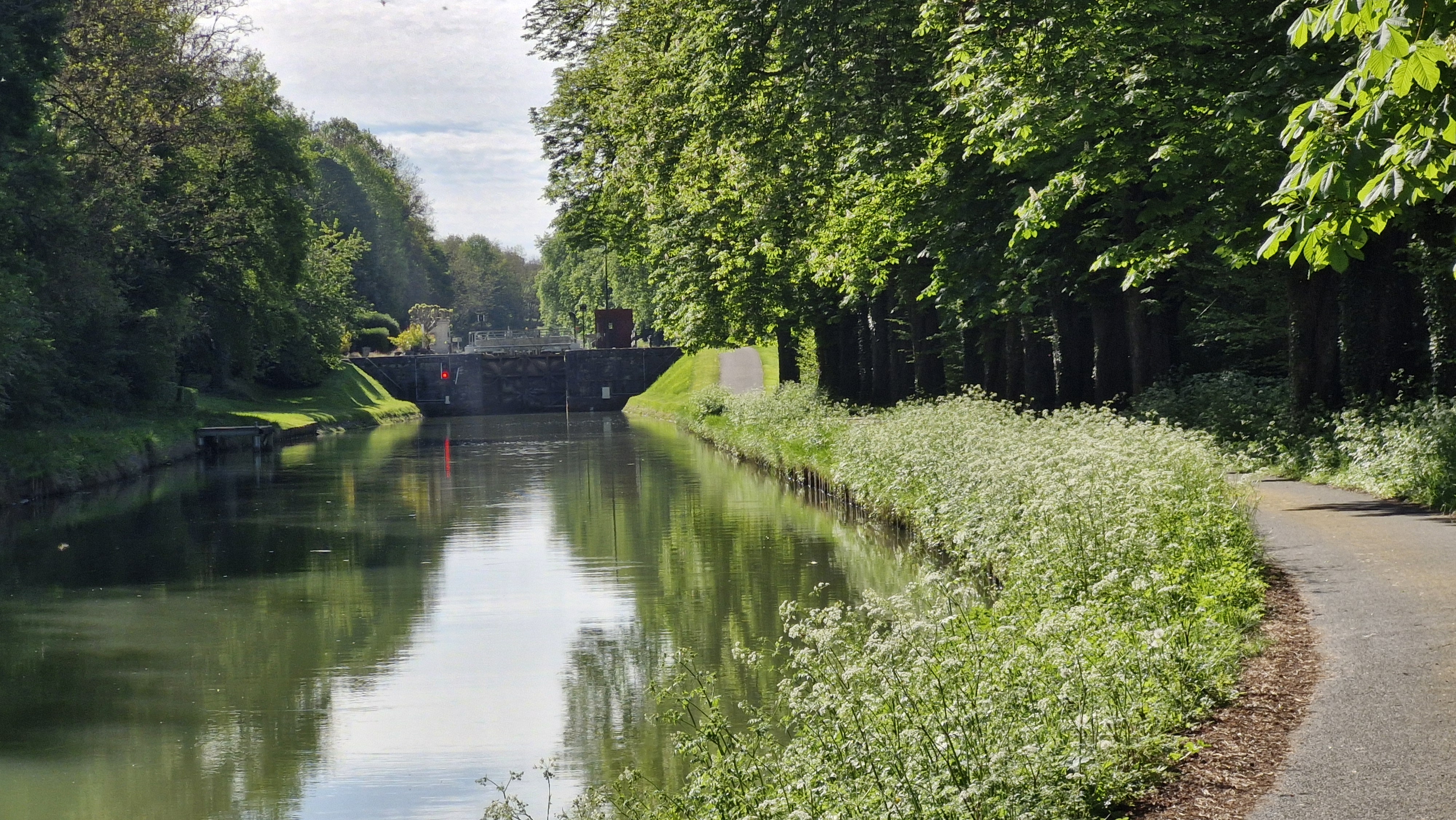 Canal Path Reflections
