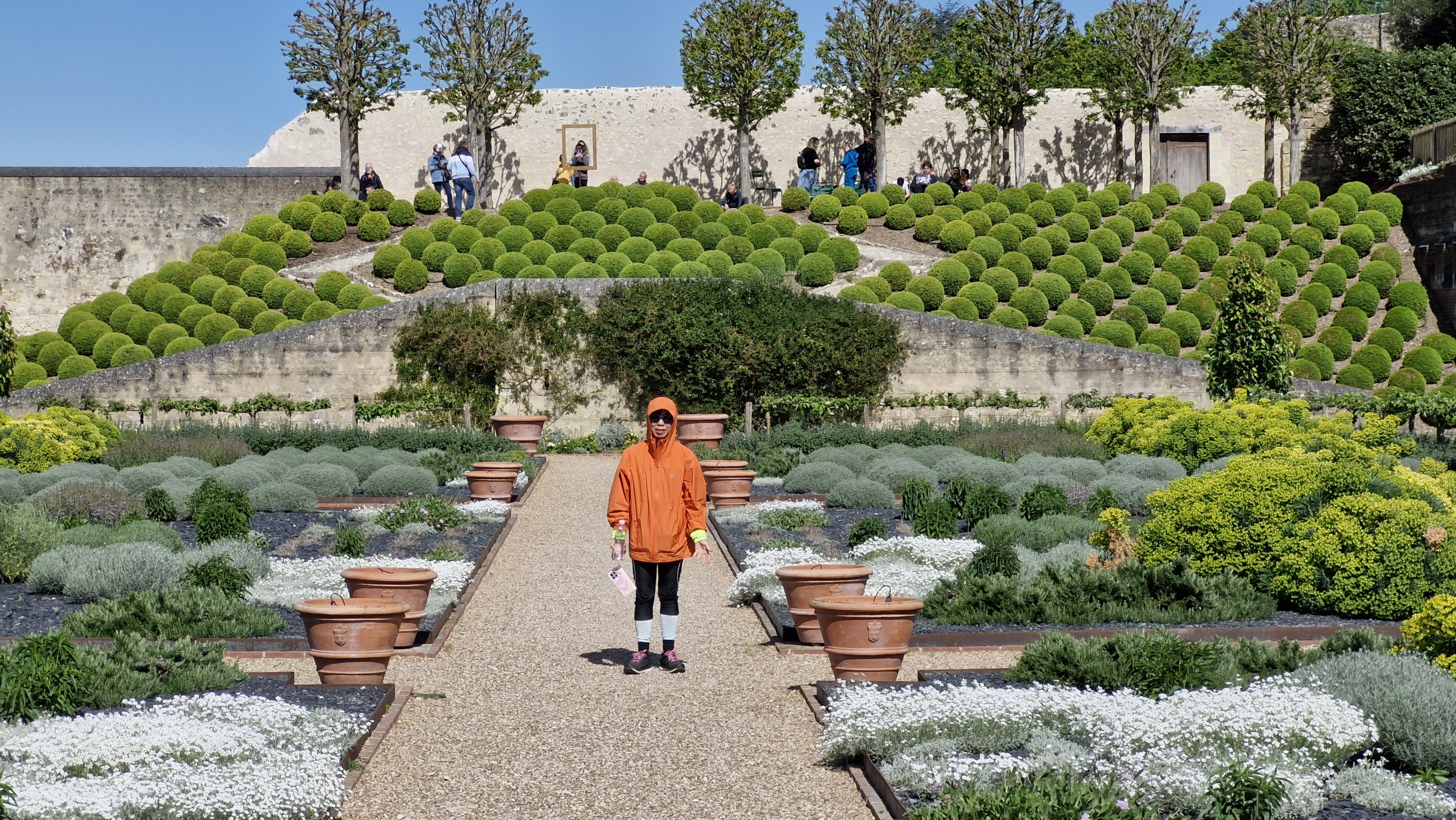 Villandry's Green Spheres