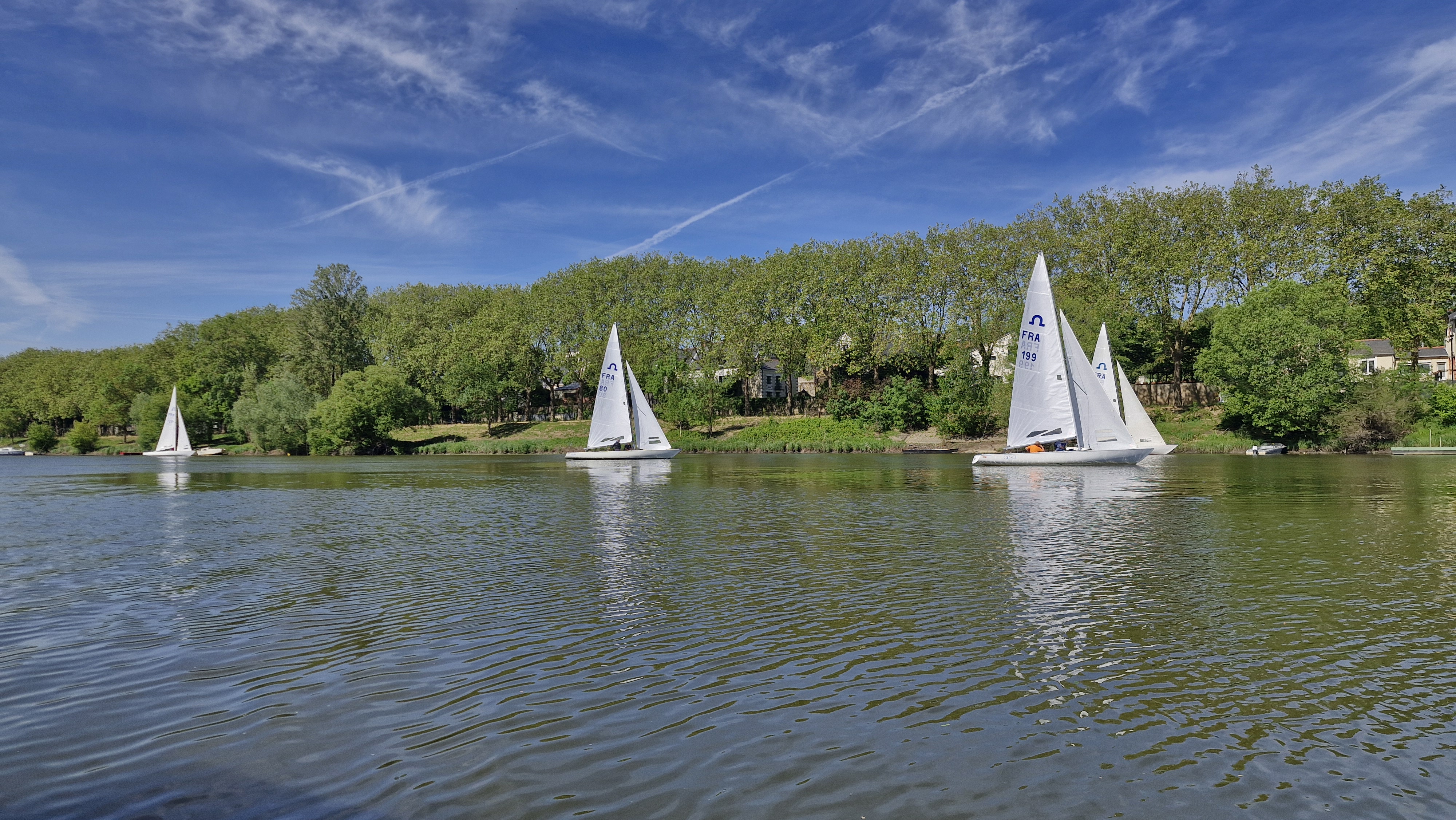 Sails on the Maine