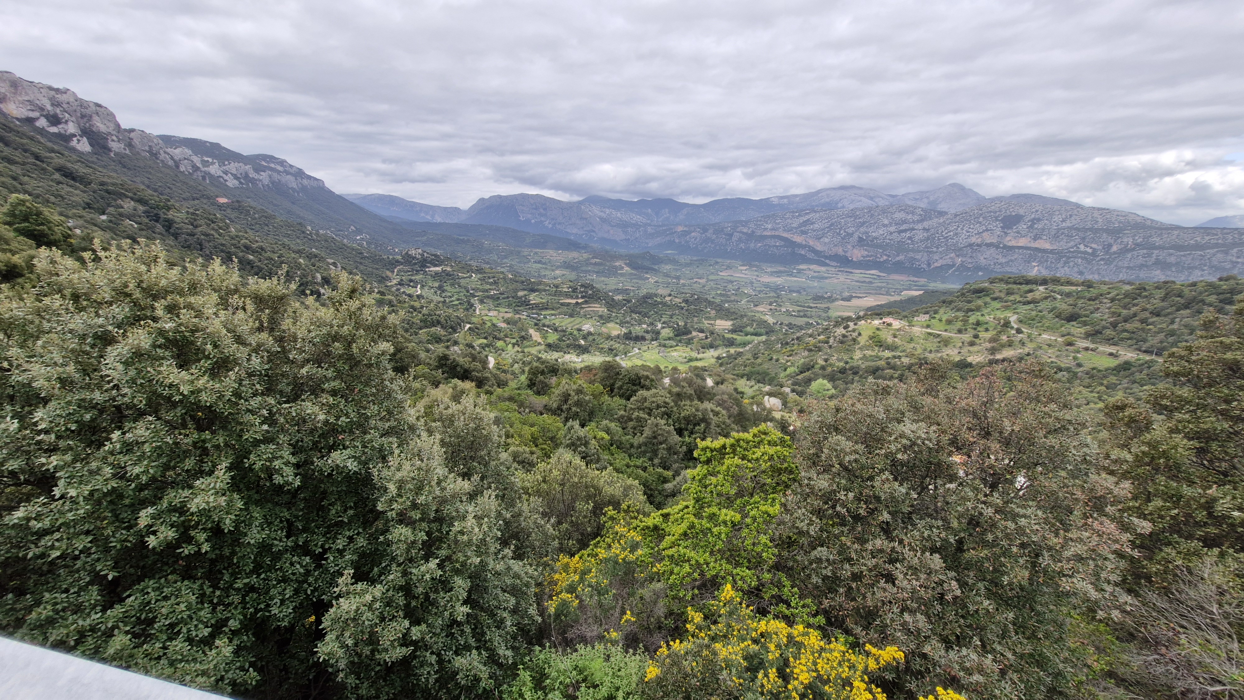 View over a lush valley from the SS125.