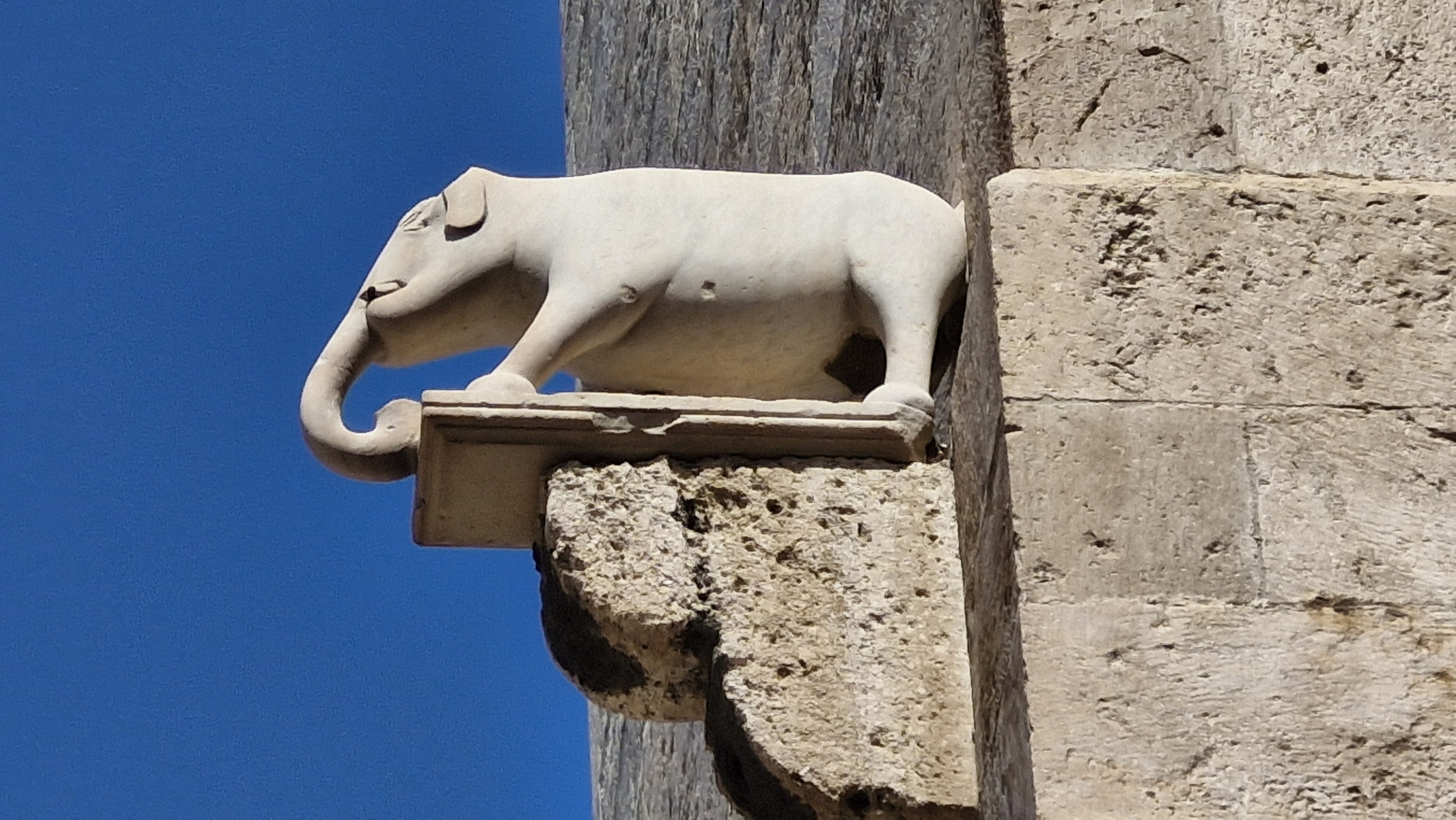 The elephant sculpture on the Elephant Tower in Cagliari.