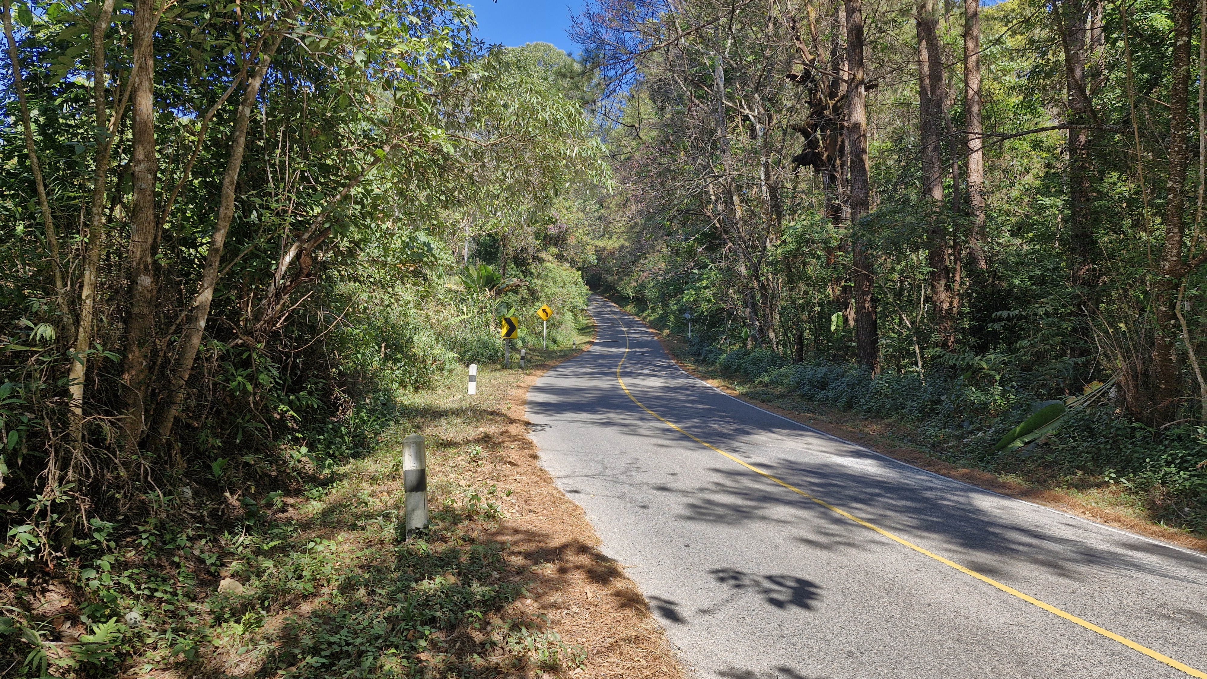 Cyclists climbing a steep hill