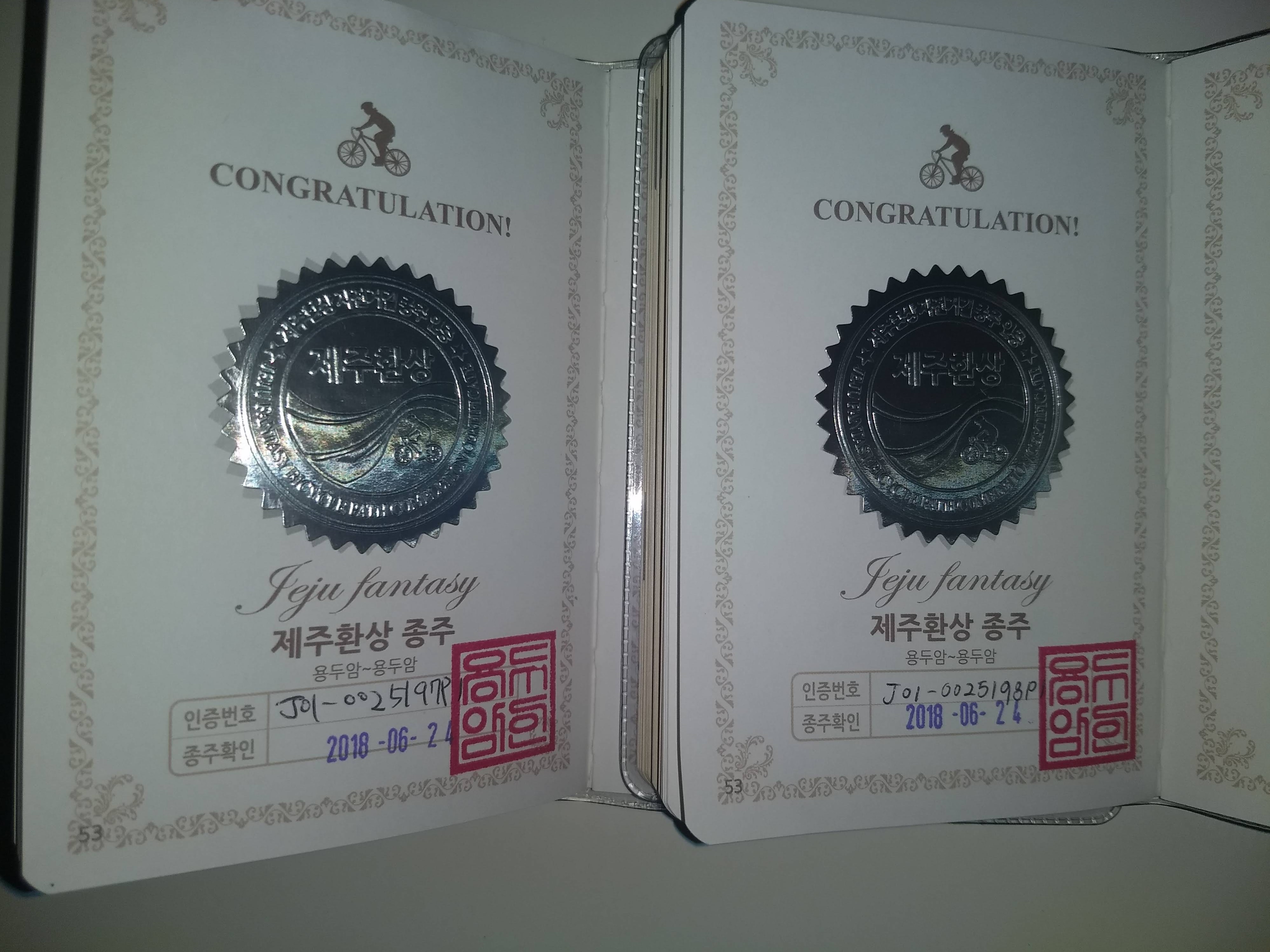A pair of cards with text and symbols

Description automatically generated